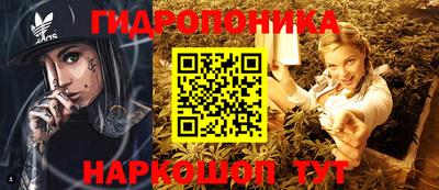 шишки Канаш