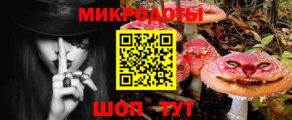Псилоцибиновые грибы Psilocybe Дальнегорск